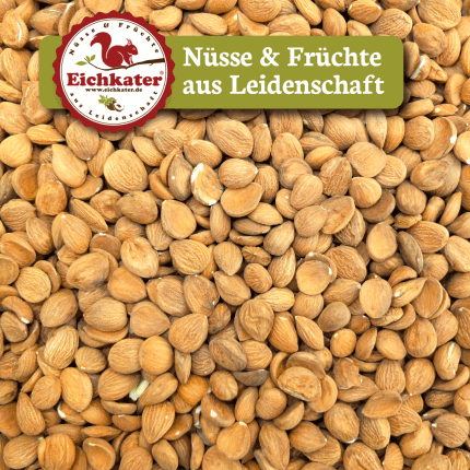 Aprikosenkerne Bitter