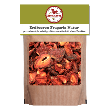 Erdbeeren Fragaria Natur