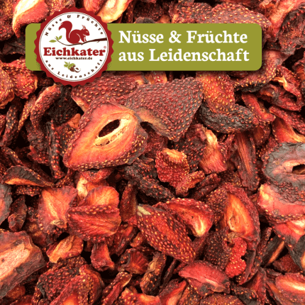 Erdbeeren Fragaria Natur