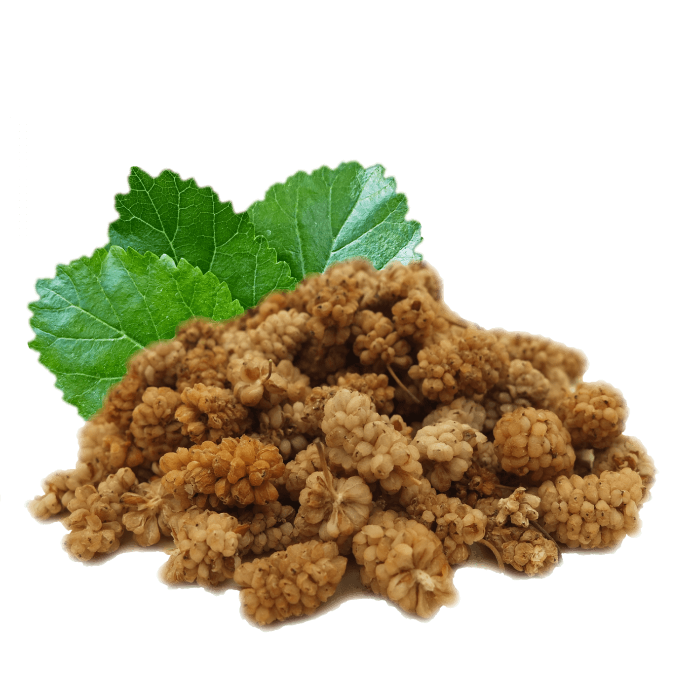 Maulbeeren hier kaufen, bestellen