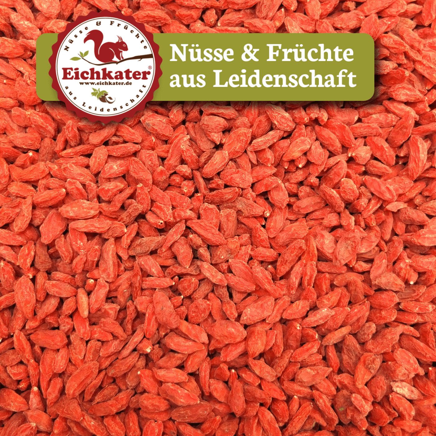 Goji Beeren, die Wolfsbeeren hier kaufen