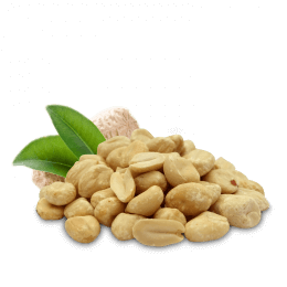 Erdnusskerne R�st 1500g